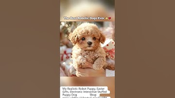 Meet Your New Lifelike Robot Puppy!