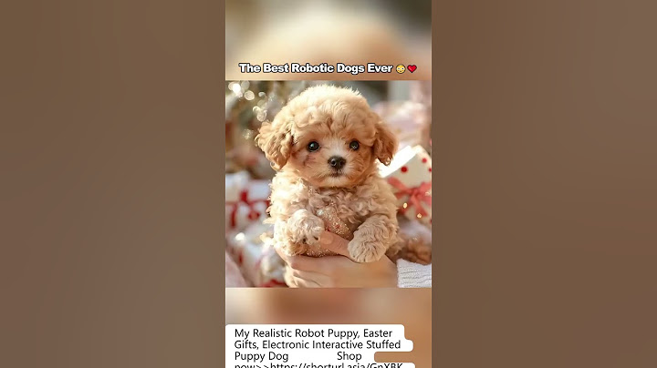 Meet Your New Lifelike Robot Puppy!