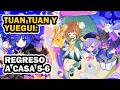 ✨El periplo de los fantastiamigos: tuan tuan y yuegui regreso a casa 5 y 6 | Genshin 6.6 | Guia