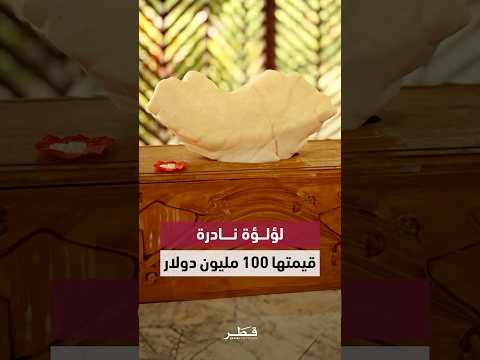 لؤلؤة تزن 34 كيلوغرام ا وت قدر قيمتها ب100 مليون دولار اكتشاف استثنائي يلفت الأنظار في عالم اللؤلؤ