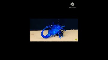 Real Scorpion vs Robotic Scorpion #shorts
