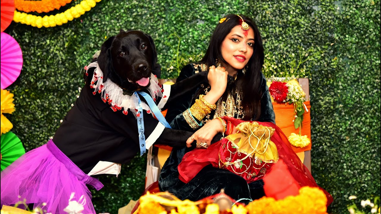 Picture reel of prebaby shower rituals by Ishank Photography YouTube