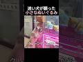 迷い犬が願った小さなぬいぐるみ