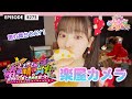 【ライブ楽屋🎥】春の晴れ舞台2024 DAY1の楽屋カメラ🎬🌟 / epi.273