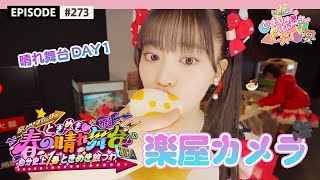 【ライブ楽屋🎥】春の晴れ舞台2024 DAY1の楽屋カメラ🎬🌟 / epi.273