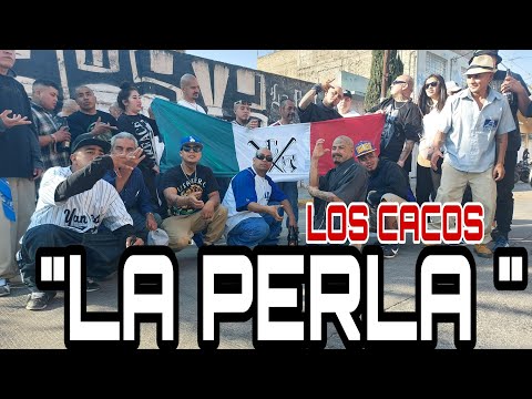 LOS CACOS LA PERLA // CHOLOS NEZA