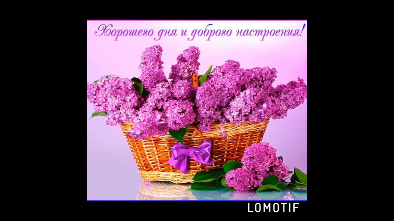 Открытки с пожеланиями хорошего дня
