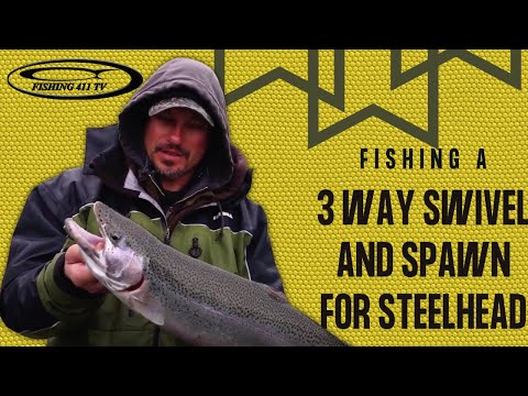 2022 Fishing 411 Tech Tips Shorts 