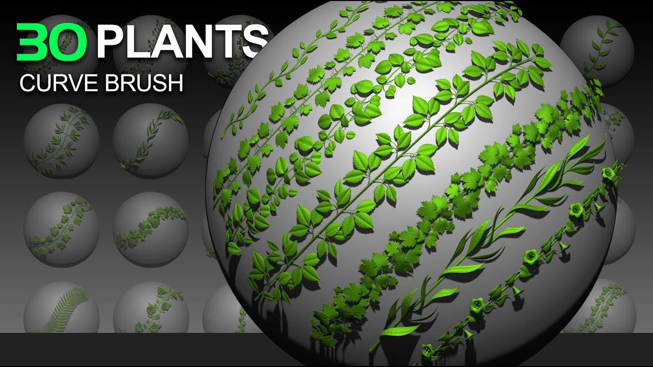 30 Plant IMM Curve Brushes (ZBrush) YouTube