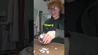 She Tried To Hatch A Chick By Hand… But Something Went Wrong 😳🐣