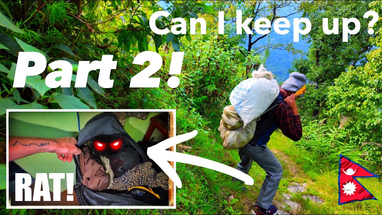 Stowaway Rats Stowaway Rat In My Backpack | Nepal Wilderness Part 2π³π΅ - YouTube