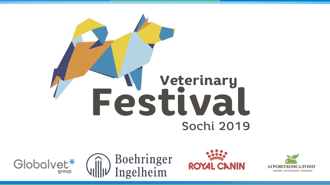 Диагностика и лечение асцита. - YouTube