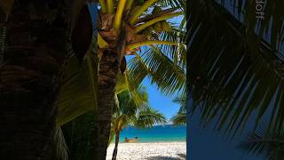 Places In Cambodia That Dont Feel Real  travel adventure explore nature cambodia