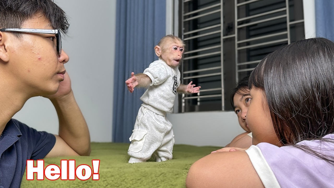 Lala and Dad return to the countryside to stay with their family!