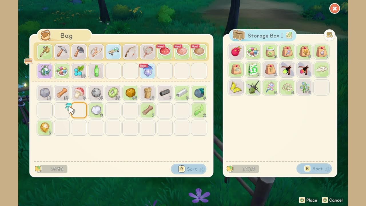 Building Our Island Life 🌴 Star Sand Island Day 3