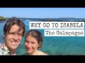 Why go to Isabela 2021 - The Galapagos Islands / Ecuador | Travel Guide