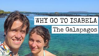 Why go to Isabela 2021 - The Galapagos Islands / Ecuador | Travel Guide