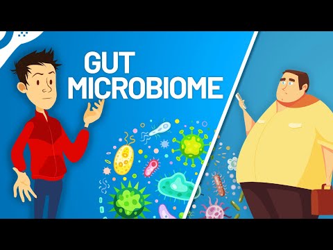 Video: Kota Sidik Jari: Membedakan Fungsi Microbiome Subway