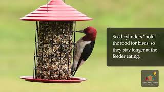 How Cool Is That! - Seed Cylinders | Wild Birds Unlimited