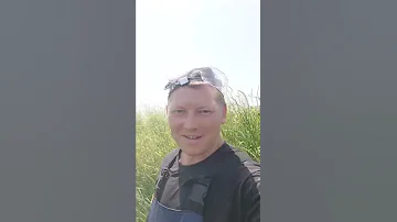 Сколько брать за покос травы.