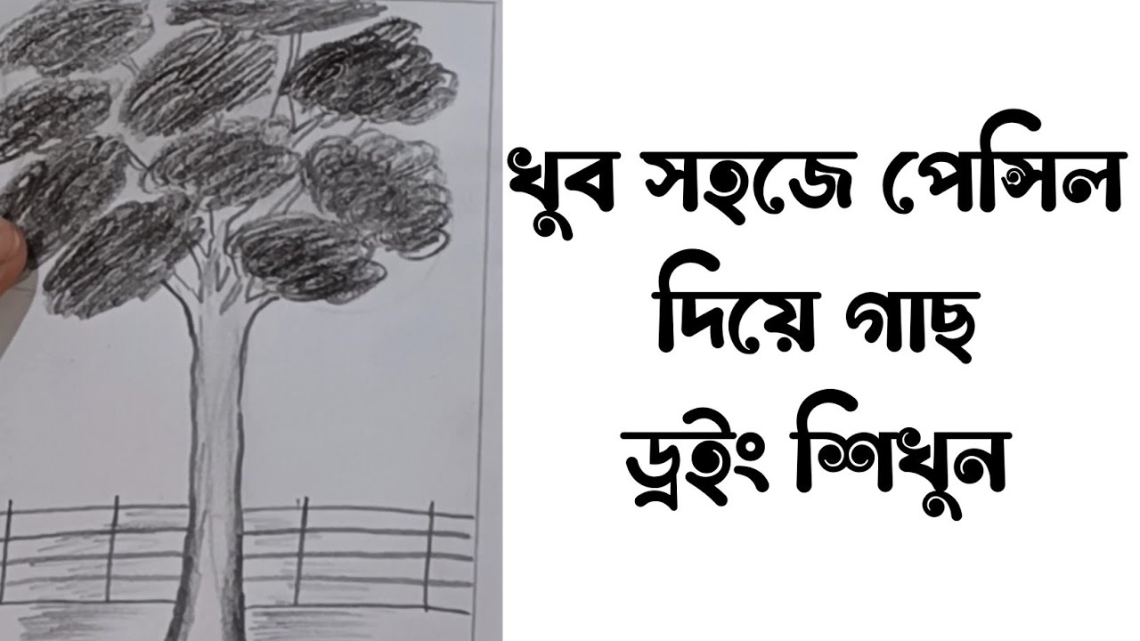 খুব সহজে পেন্সিল দিয়ে গাছ ড্রইং শিখুন || easy drawing step by step ...