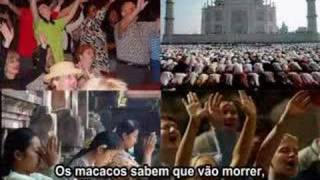 Dance Monkeys Dance (Legendado)