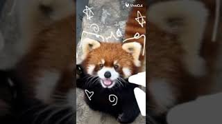 @Kittyw8 #virtual