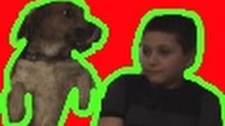 P4A 2011 Talking Dog...Telling Bad Jokes ASPCA