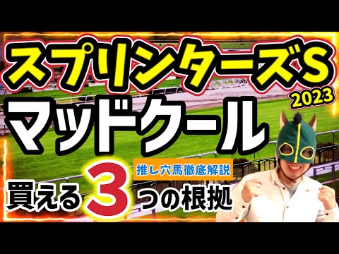 【穴馬解説】ハイペースで展開利！人気落ち必至！マッドクールを徹底分析【競馬予想】#スプリンターズステークス2023 #スプリンターズS