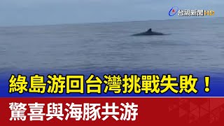 綠島游回台灣挑戰失敗 驚喜與海豚共游