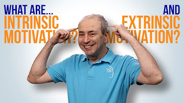 Wat zijn intrinsieke en extrinsieke motivatie? Wat is het verschil?