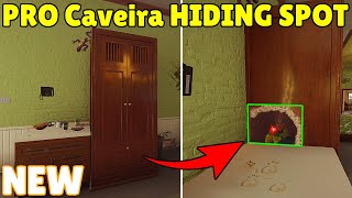 New Crazy Hiding Spot For All Pro Caveria Mains - Rainbow Six Siege