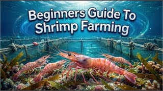 Beginners Guide To Shrimp Farming