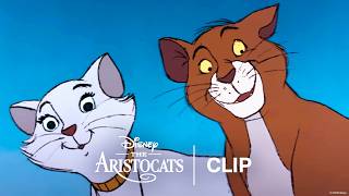 The Scat Cat Club | The Aristocats  Clip