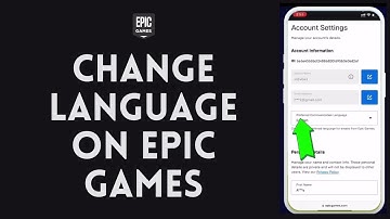 How to Change Language on Epic Games (2024)