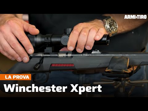 Video: 22 LR (cartuccia): specifiche, panoramica