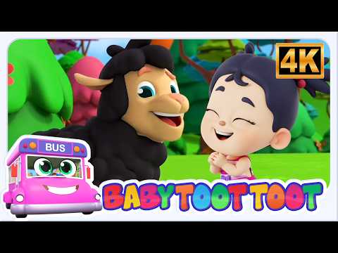 바아 바아 블랙 쉽 🐑 | 어린이 동요 애니메이션- Baby Toot Toot