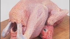 TIPS MEMASAK AYAM KAMPUNG LEBIH CEPAT EMPUK DAN NIKMAT - Durasi: 4.04. 