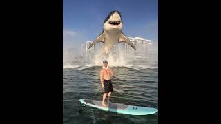 Bayless Cobb — Great White Shark Breach off the Coronado Coast 🦈🌊