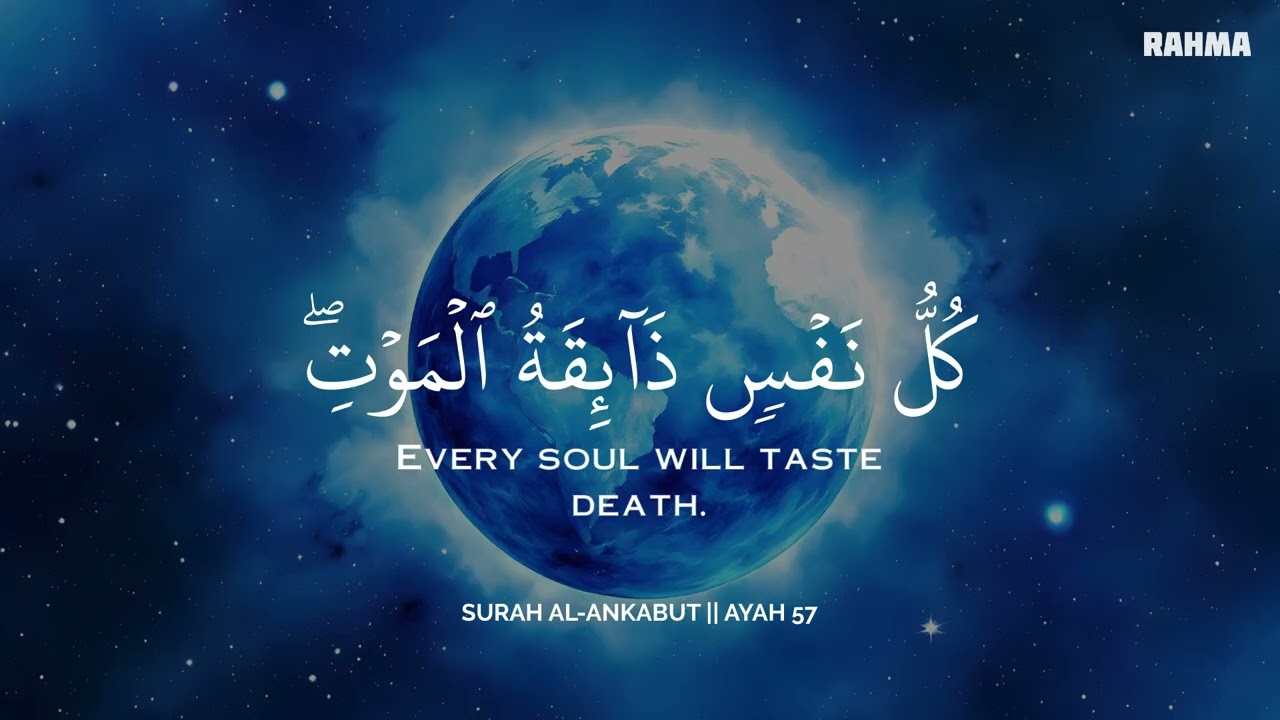 أرح سمعك.. تلاوة هادئة تريح القلب والعقل💜😴 | ساعة كاملة🕛🎧 القارئ محمد هشام | Mohamed Hesham