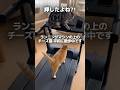 ランニングマシンに乗って現実に気づいたチーズ猫の結末