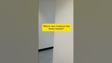 🫰🏻🦋 #challenge #commonsenseriddles #logicgames #riddlejourney #puzzlegames #mindbendingquiz