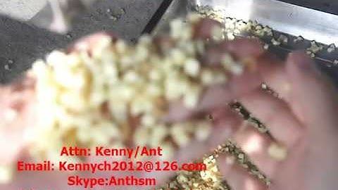 SH-109S ginger cube cutting machine, dice machine, cuber, dicer, vergetable cutter