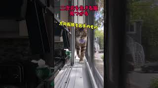 7月17日②