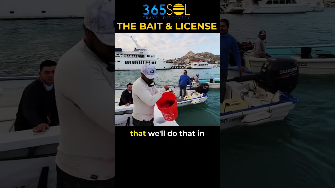 Buying the Bait & License for Fishing in Cabo San Lucas | A Luxurious Tour to Cabo San Lucas Mexico