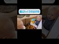 鏡にびっくりするセサ坊
