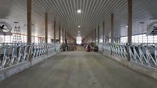 Robotic Milking from Construction to Completion