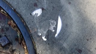 Famous Little Grey Boy - Jordan Freeman (Music Video) Net Worth