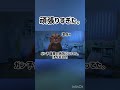初就職先がとんでもなかった話 #猫ミーム #猫マニ