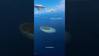 Maldives The Viral Video That Exposed Everything